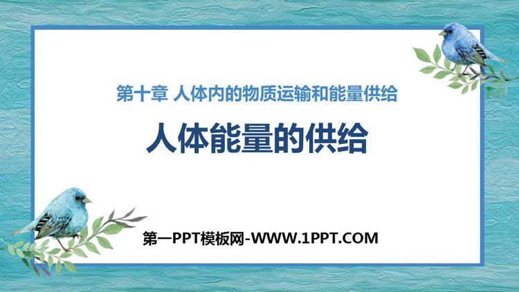 《人体能量的供给》PPT优质课件