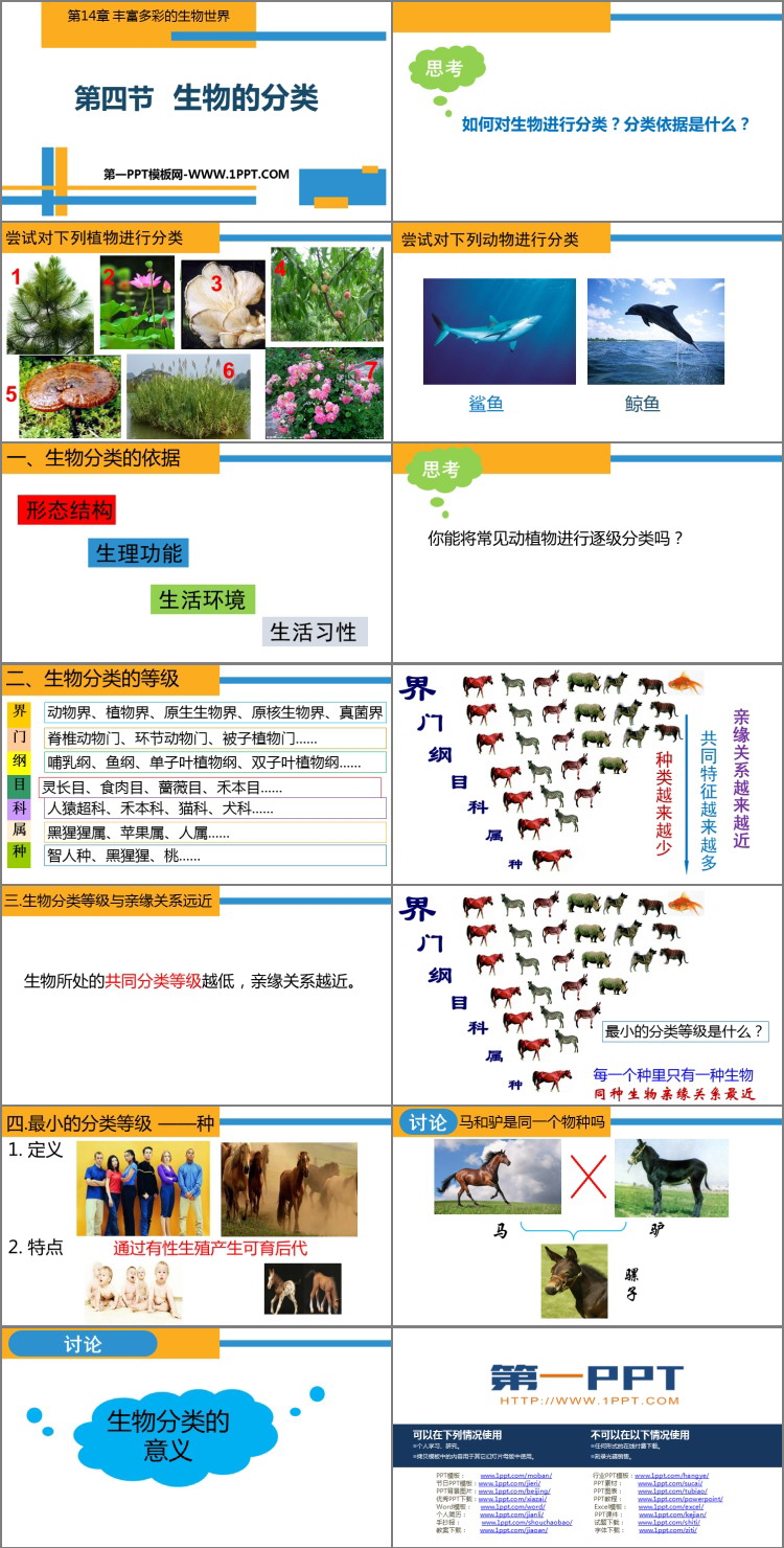 《生物的分类》PPT教学课件