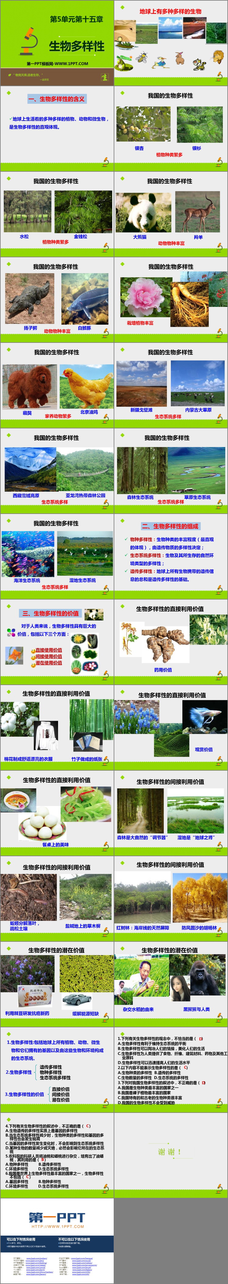 《生物多样性》PPT下载