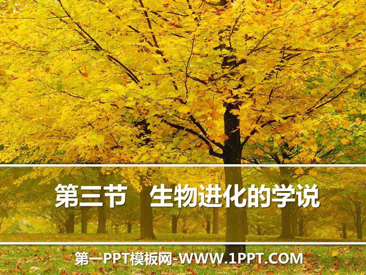 《生物进化的学说》PPT课件