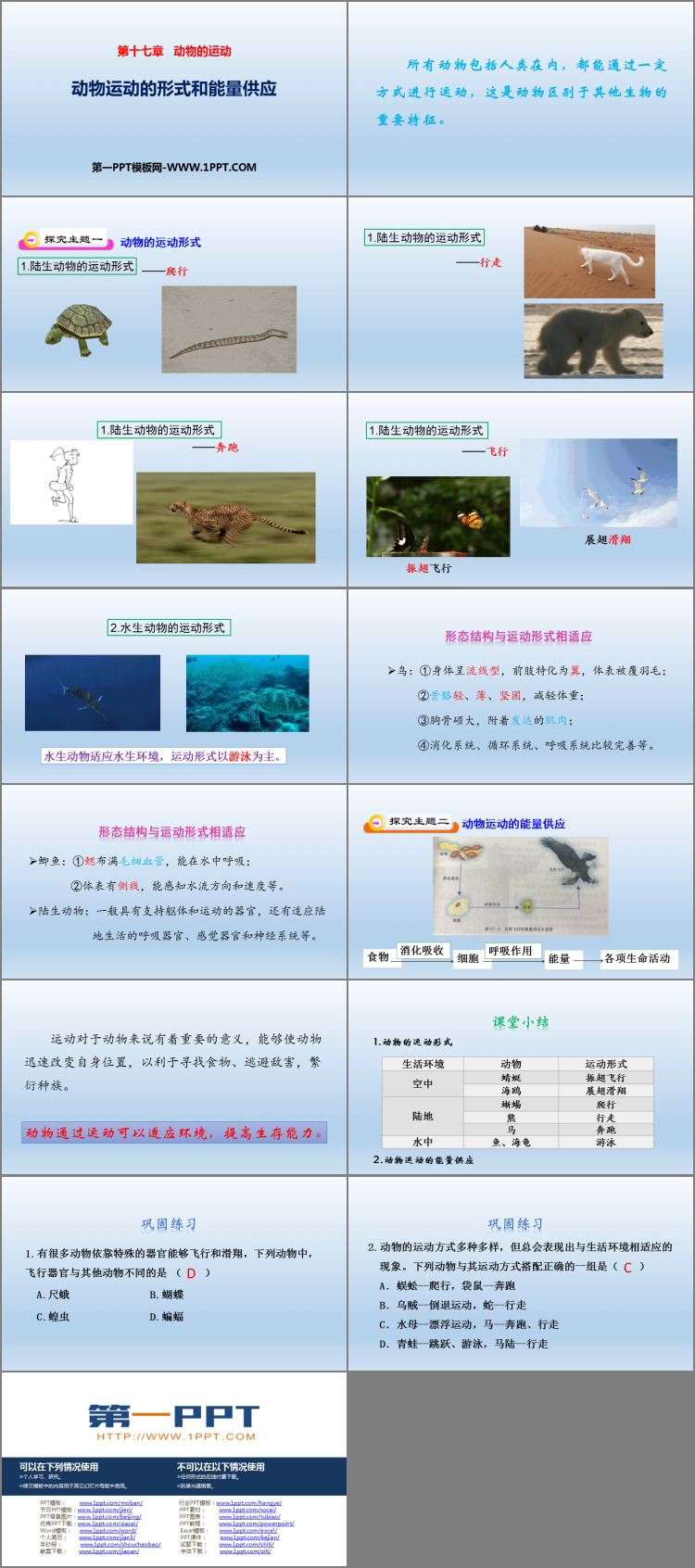 《动物运动的形式和能量供应》PPT教学课件