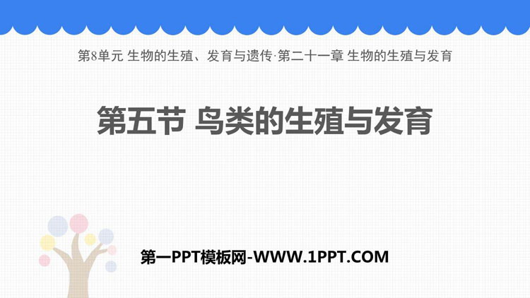 《鸟类的生殖与发育》PPT免费课件