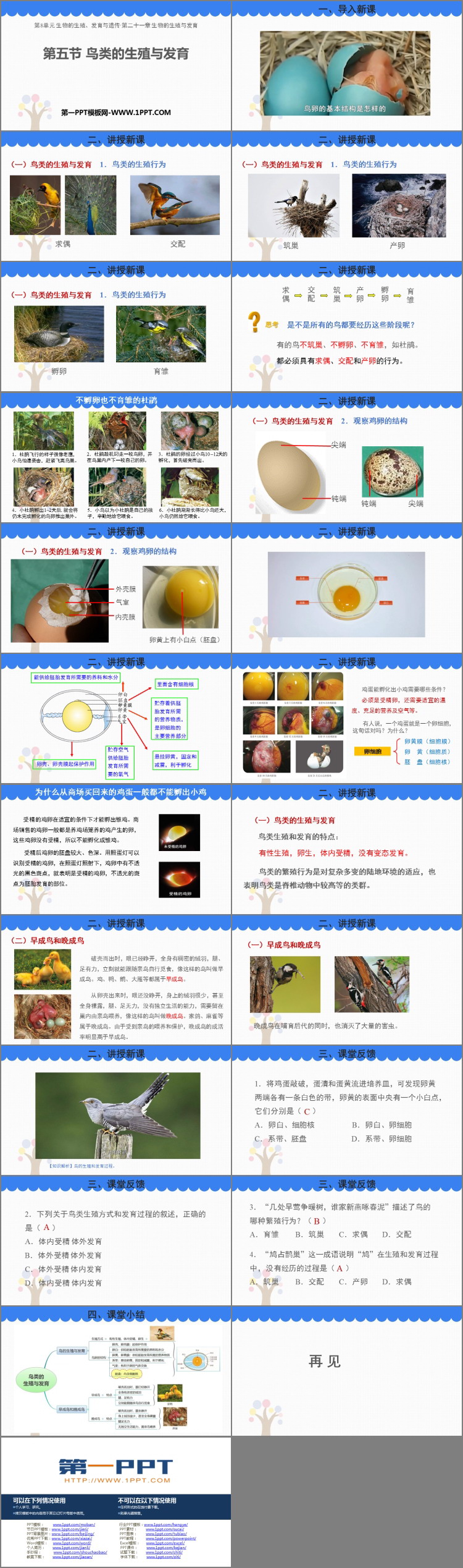 《鸟类的生殖与发育》PPT免费课件