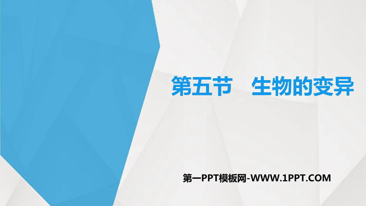 《生物的变异》PPT免费课件