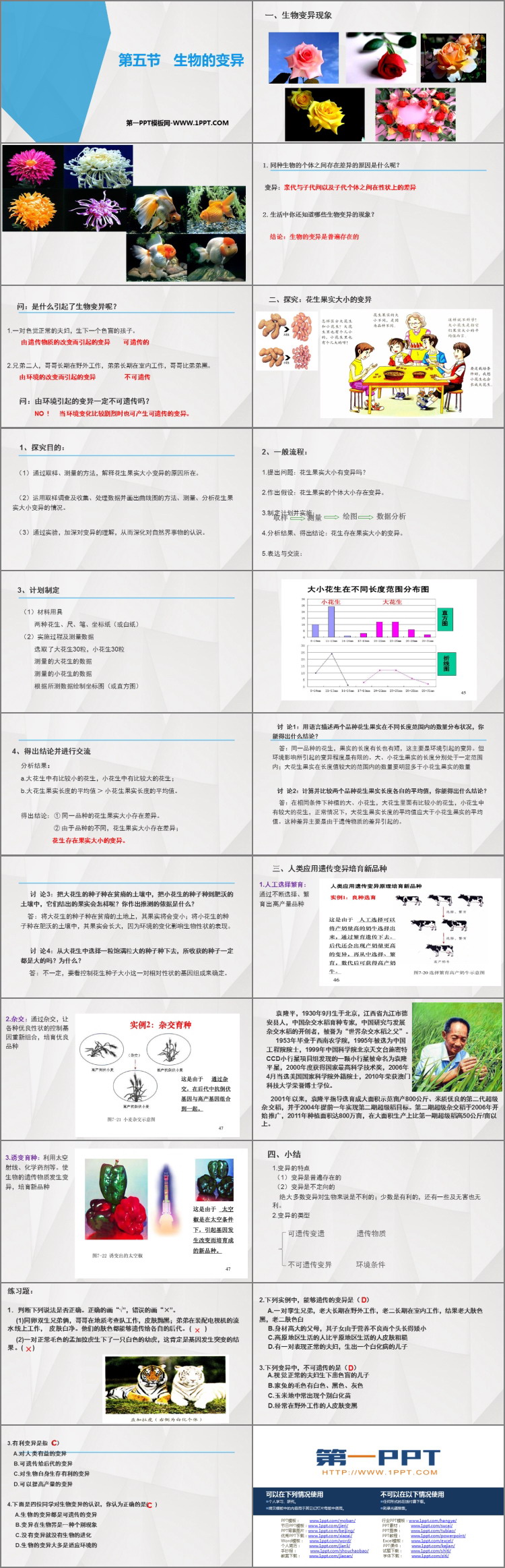《生物的变异》PPT免费课件