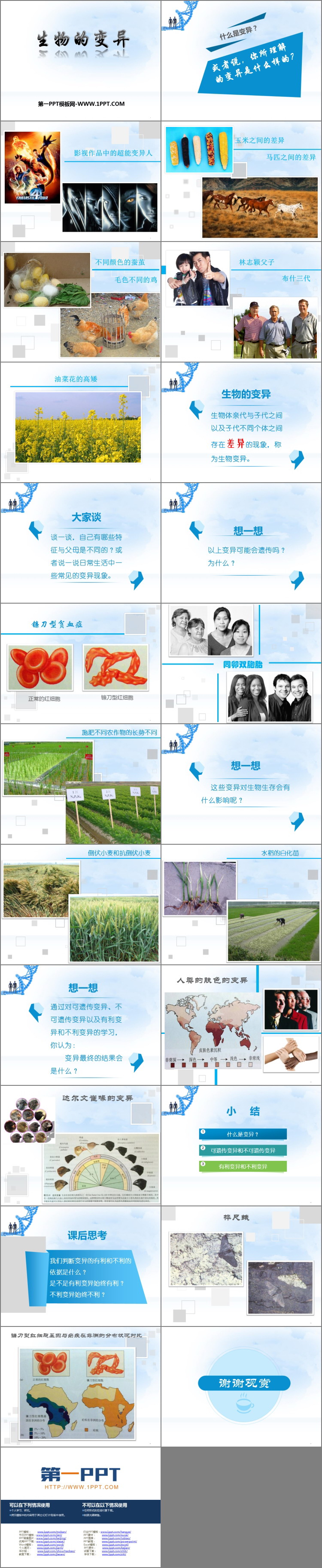 《生物的变异》PPT优质课件