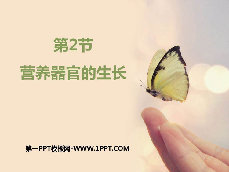 《营养器官的生长》PPT下载