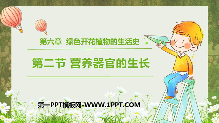 《营养器官的生长》PPT免费课件