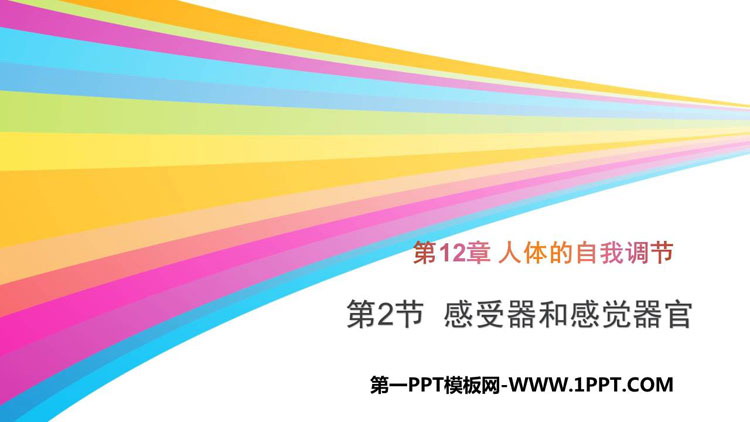《感受器和感觉器官》PPT教学课件