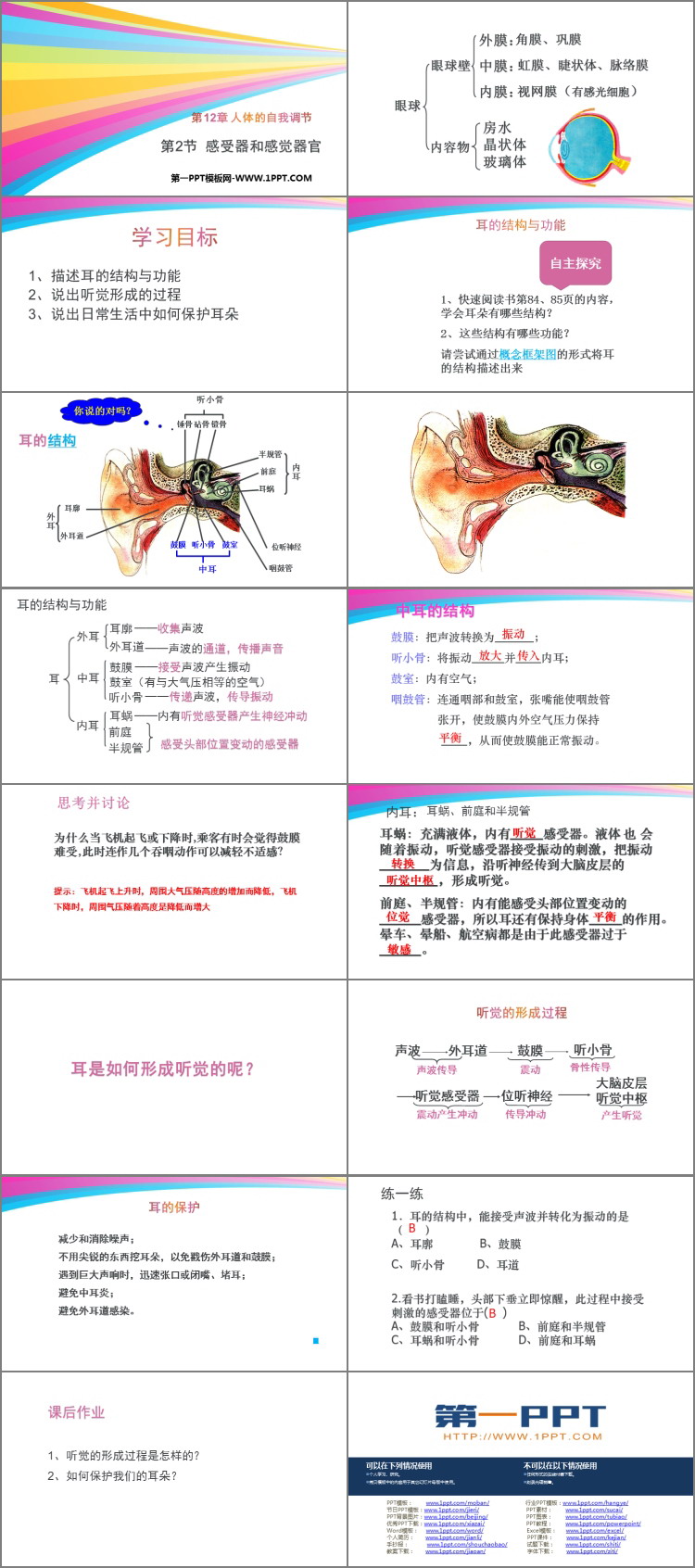 《感受器和感觉器官》PPT教学课件