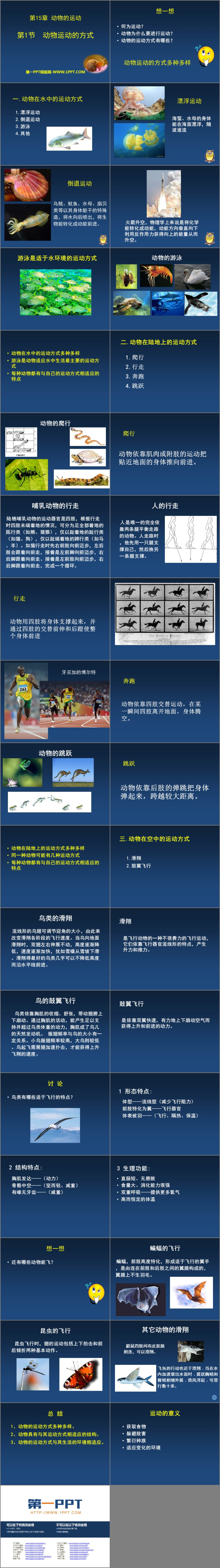 《动物运动的方式》PPT教学课件