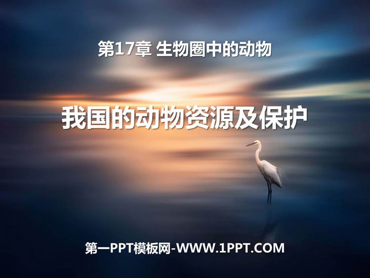 《我国的动物资源及保护》PPT下载