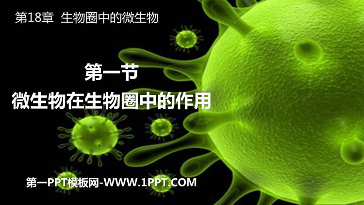 《微生物在生物圈中的作用》PPT教学课件(第1课时)