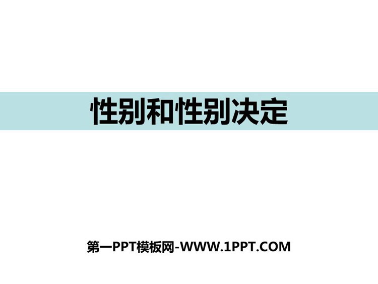 《性别和性别决定》PPT教学课件