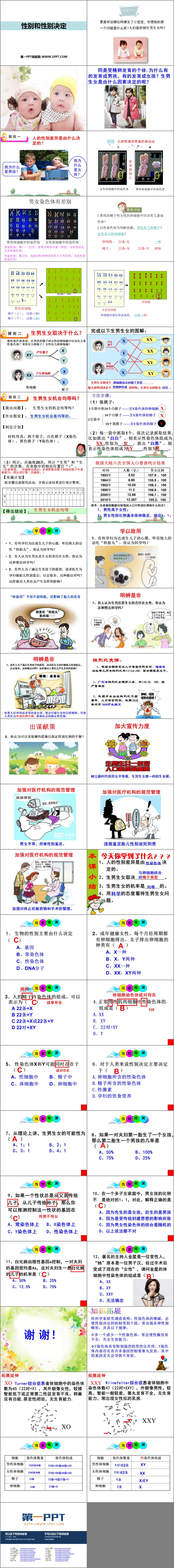 《性别和性别决定》PPT教学课件