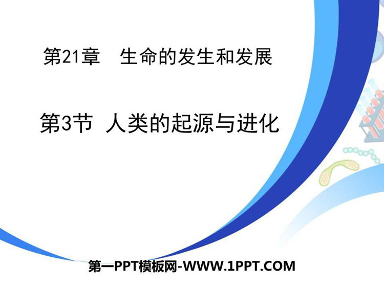 《人类的起源和进化》PPT免费课件下载