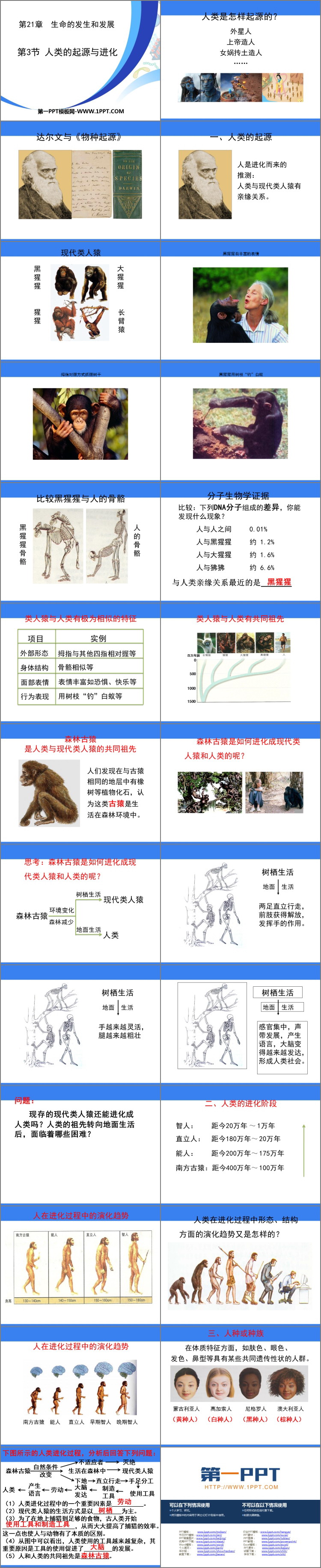 《人类的起源和进化》PPT免费课件下载