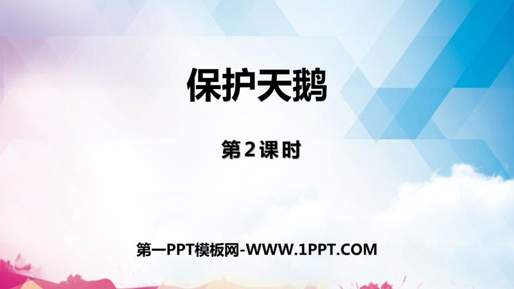 《保护天鹅》PPT教学课件(第2课时)