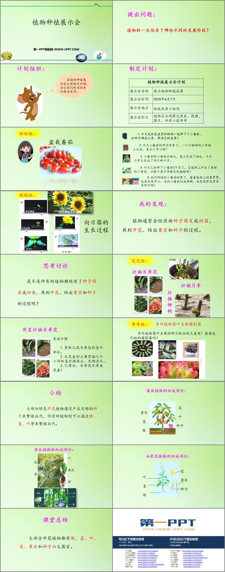 《植物种植展示会》PPT课件
