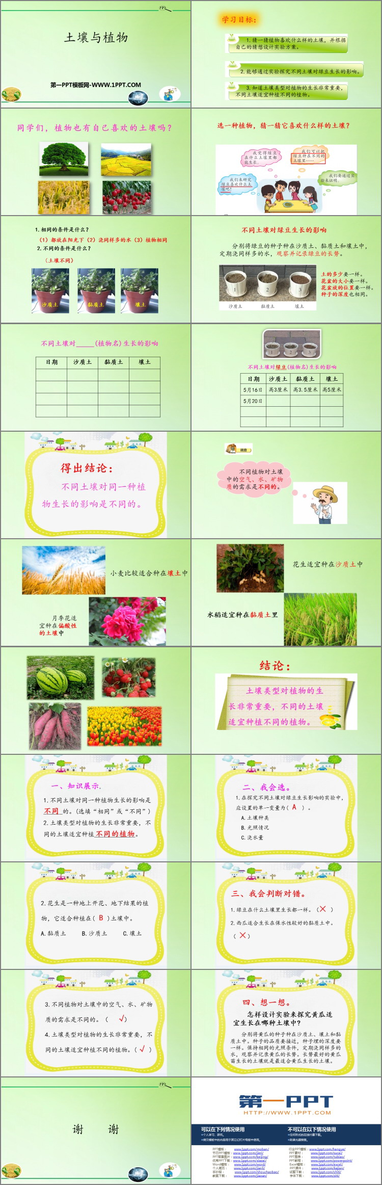 《土壤与植物》PPT下载