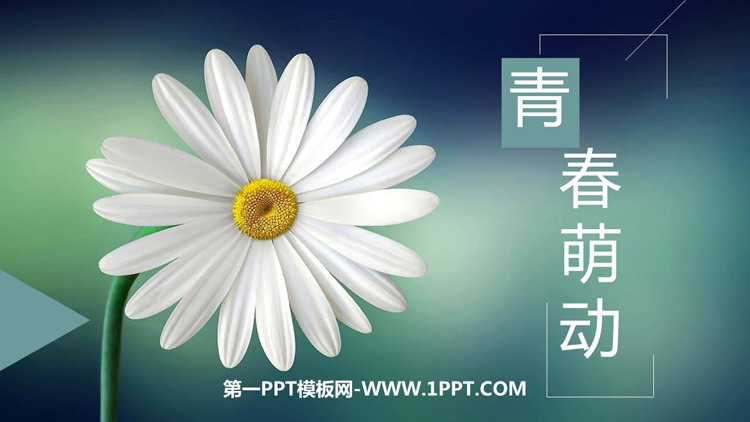 《青春萌动》PPT教学课件免费下载