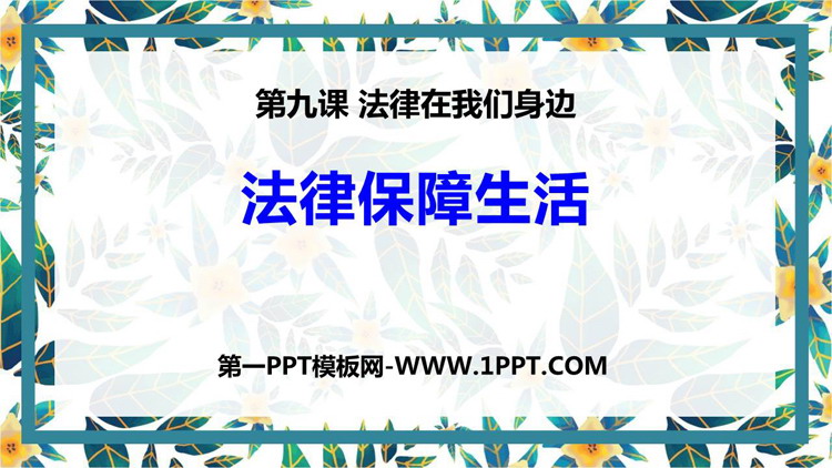 《法律保障生活》PPT优秀课件