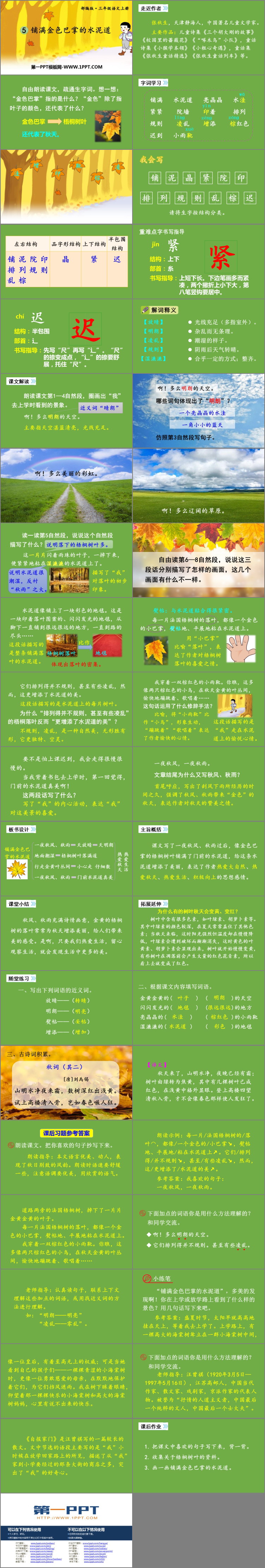 《铺满金色巴掌的水泥道》PPT优秀课件下载