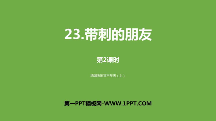 《带刺的朋友》PPT下载(第2课时)
