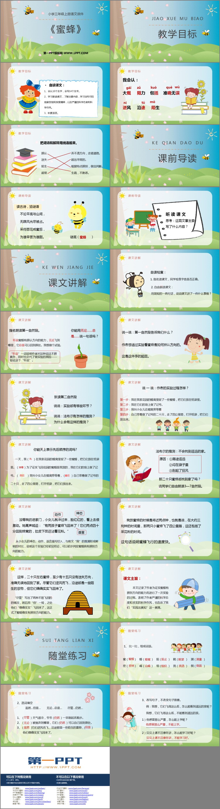 《蜜蜂》PPT精品课件