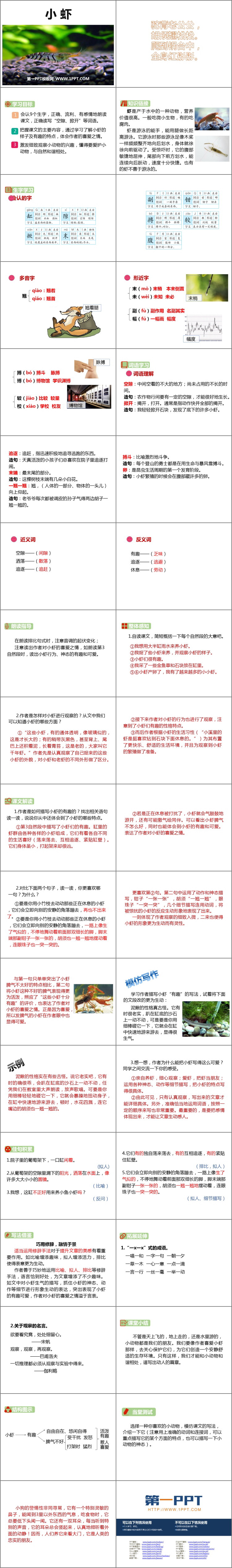 《小虾》PPT精品课件下载
