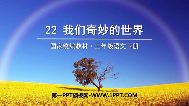 《我们奇妙的世界》PPT优质课件下载