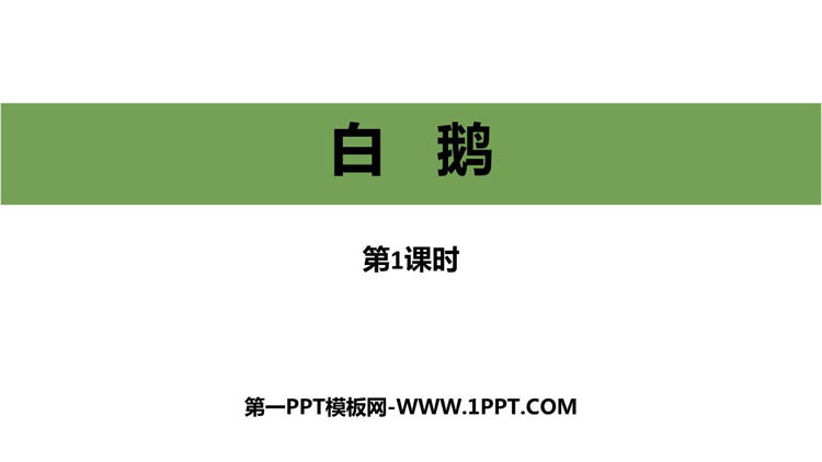 《白鹅》PPT教学课件(第1课时)