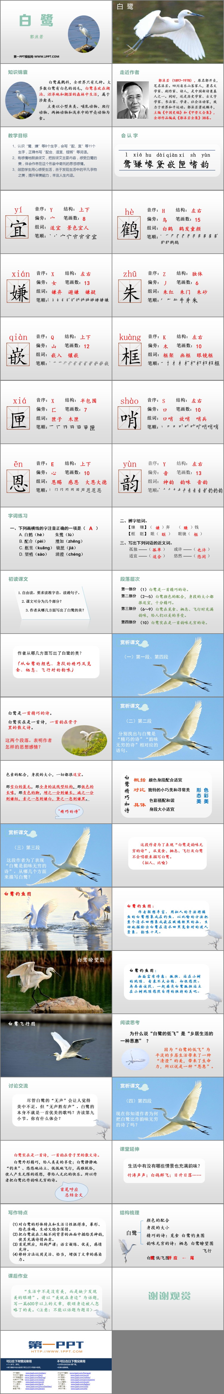 《白鹭》PPT精品课件下载