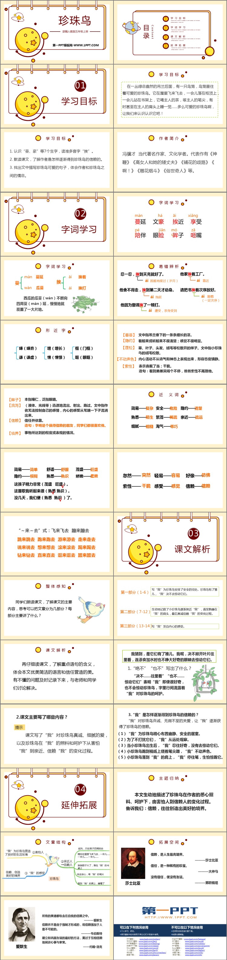 《珍珠鸟》PPT优质教学课件