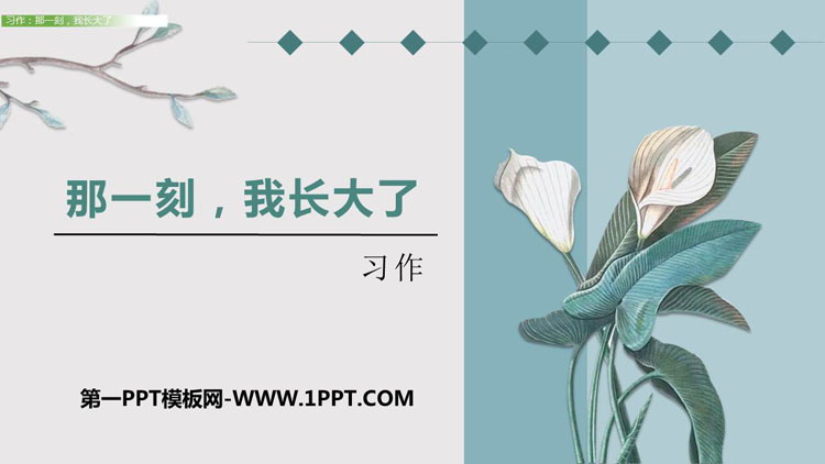 《那一刻，我长大了》PPT课件