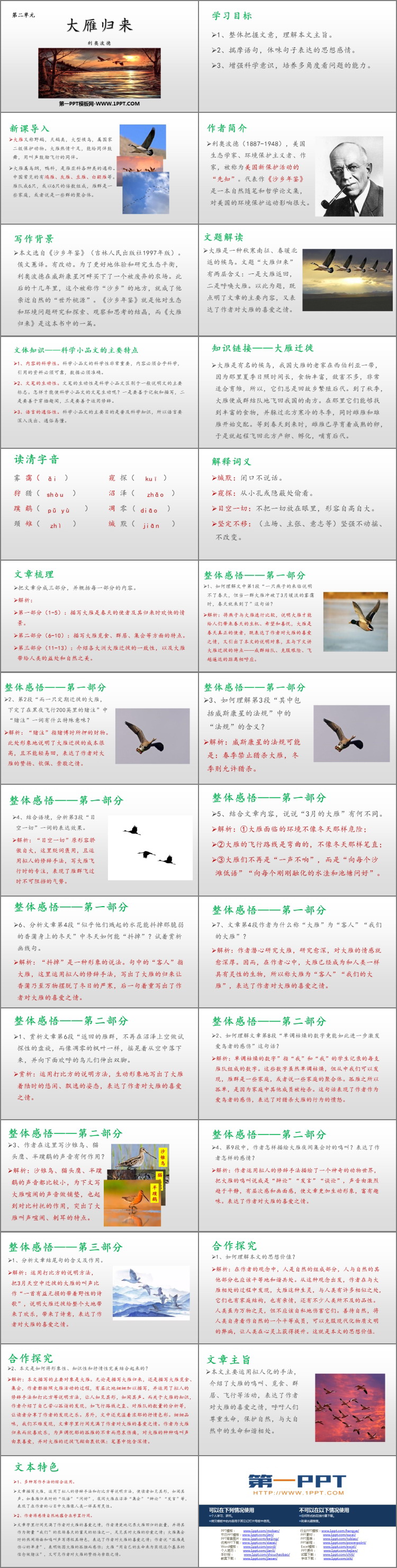 《大雁归来》PPT优质课件