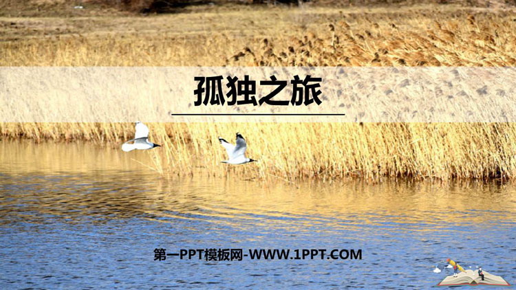 《孤独之旅》PPT优质课件下载