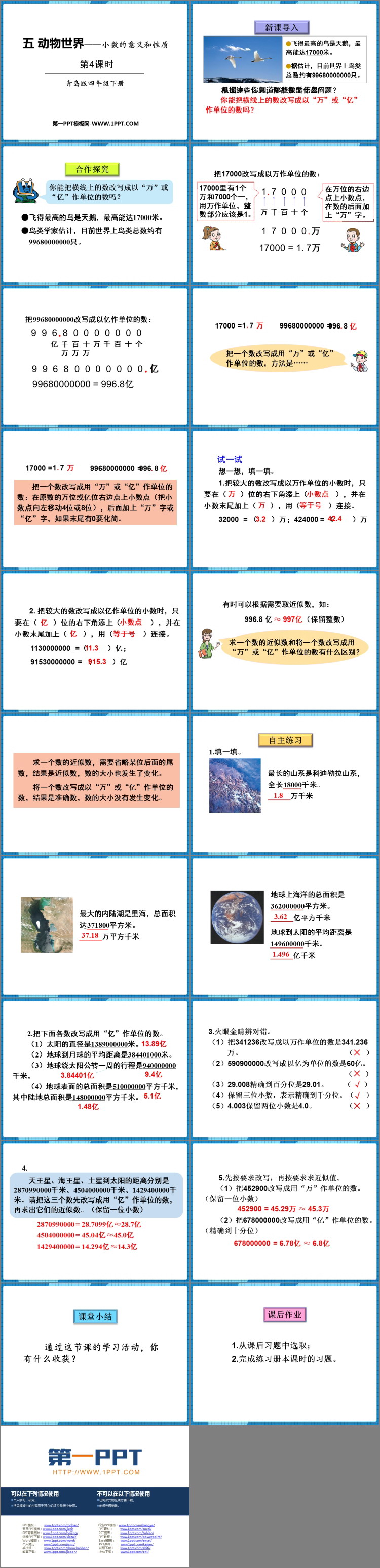 《动物世界》PPT课件下载(第4课时)