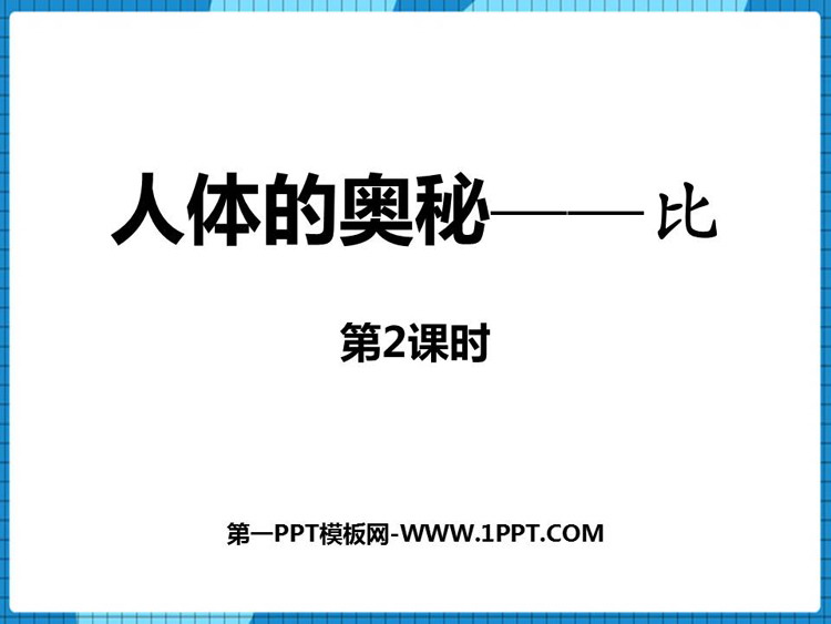 《人体的奥秘》PPT课件下载(第2课时)