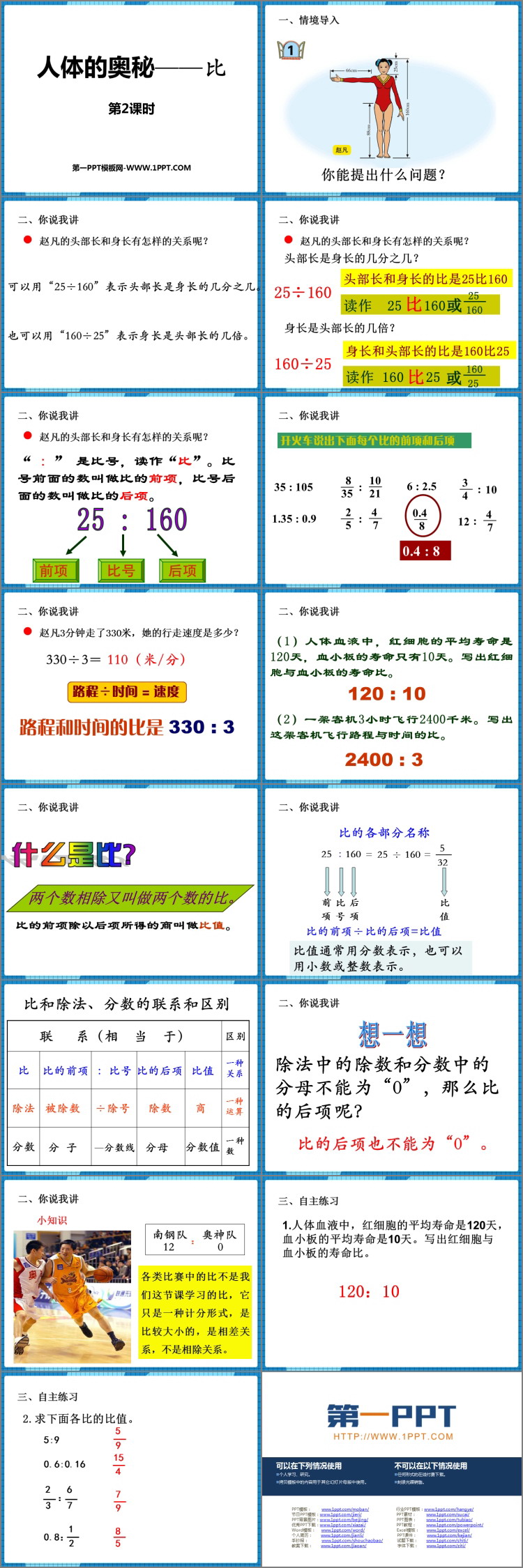 《人体的奥秘》PPT课件下载(第2课时)