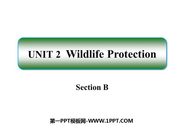 《Wildlife Protection》SectionB PPT下载