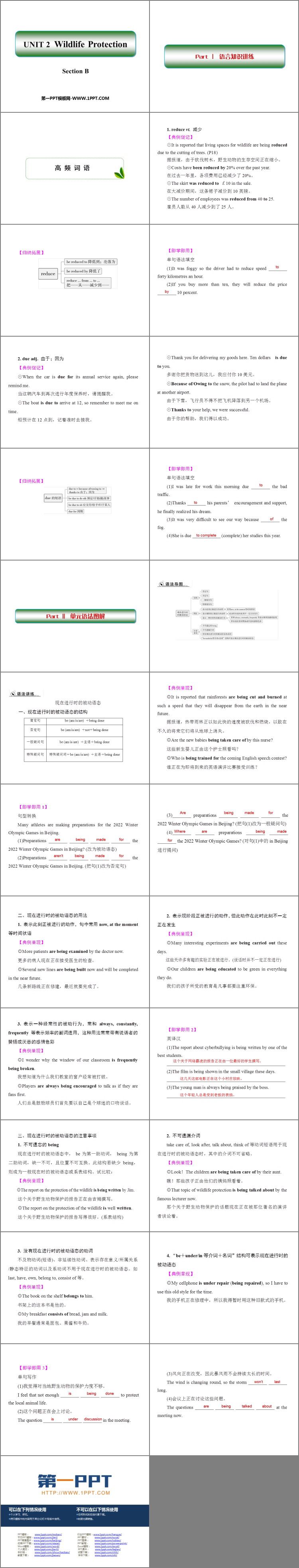 《Wildlife Protection》SectionB PPT下载