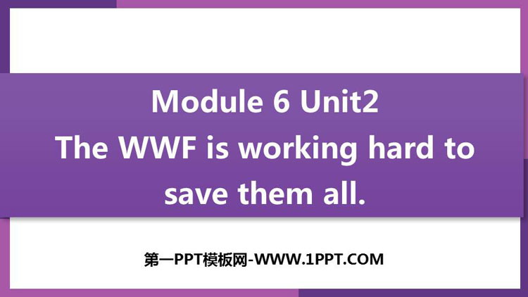 《The WWF is working hard to save them all》Animals in danger PPT免费下载