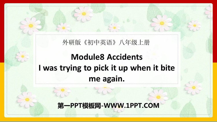 《I was trying to pick it up when it bite me again》Accidents PPT免费课件