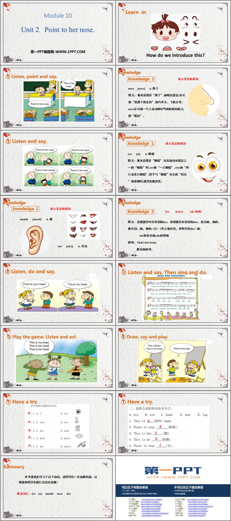 《Point to her nose》PPT免费课件