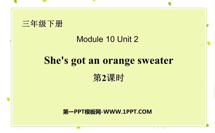《She\s got an orange sweater》PPT课件(第2课时)