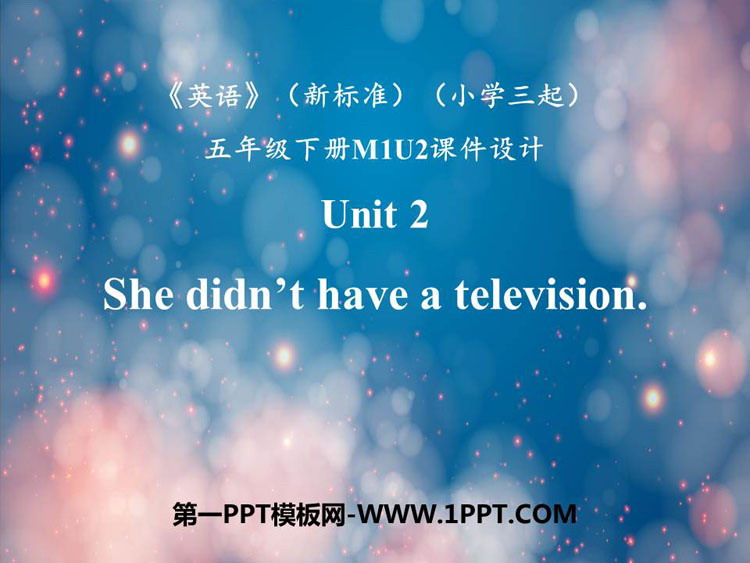《She didn\t have a television》PPT优质课件