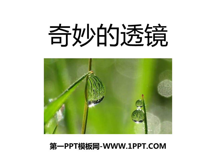 《奇妙的透镜》光和眼睛PPT免费下载
