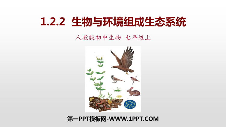 《生物与环境组成生态系统》PPT优秀课件