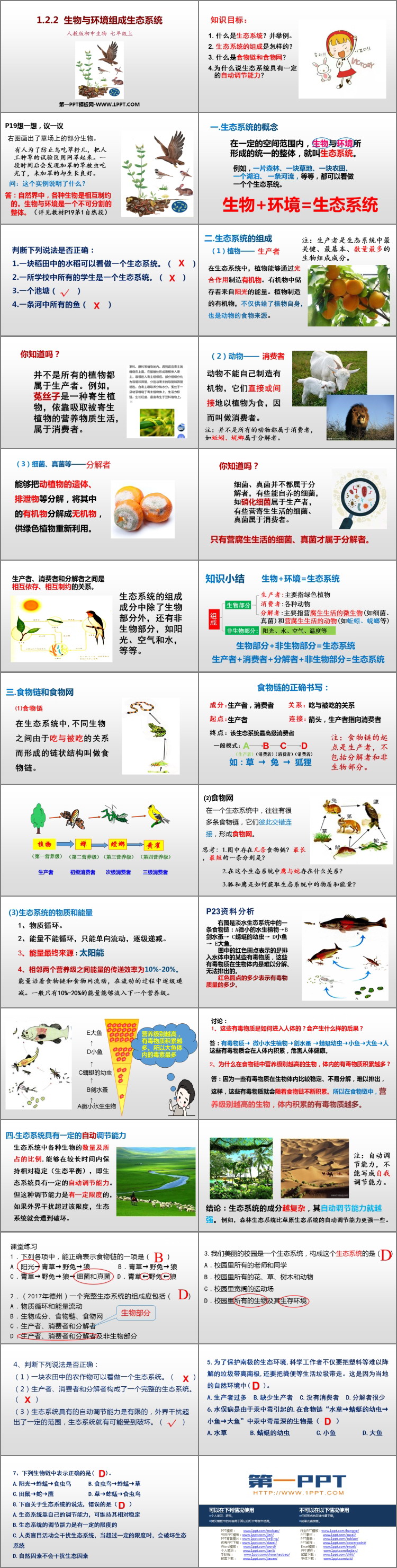 《生物与环境组成生态系统》PPT优秀课件